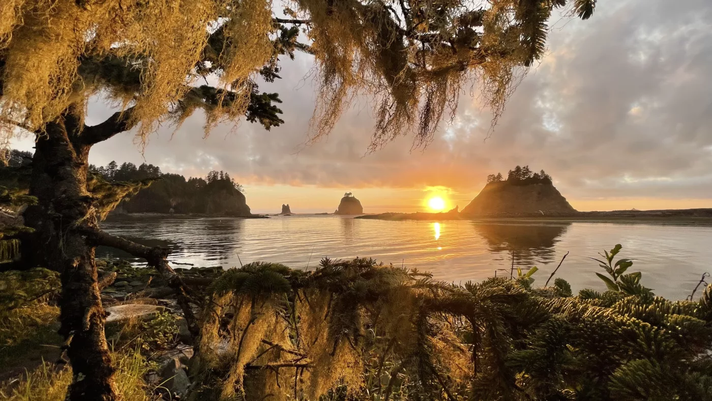 Le Monde de Chloé | | Parc National Olympique | La Push | Forks | Twilight | Washington | USA