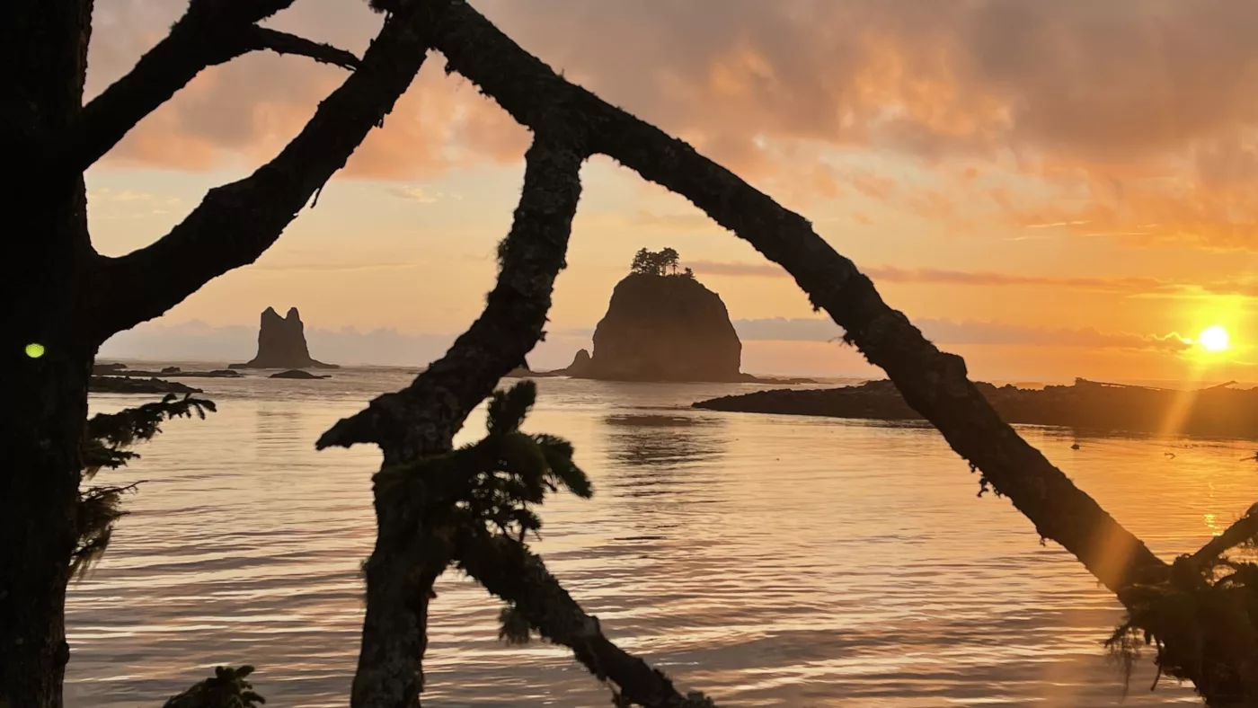 Le Monde de Chloé | | Parc National Olympique | La Push | Forks | Twilight | Washington | USA