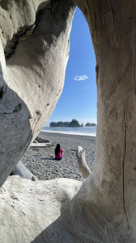 Le Monde de Chloé | | Parc National Olympique | La Push | Forks | Twilight | Washington | USA