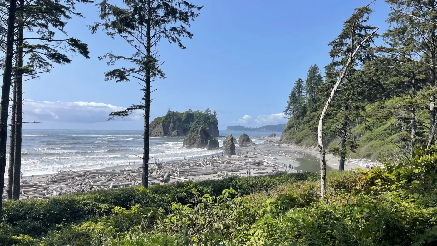 Le Monde de Chloé | | Parc National Olympique | La Push | Forks | Twilight | Washington | USA