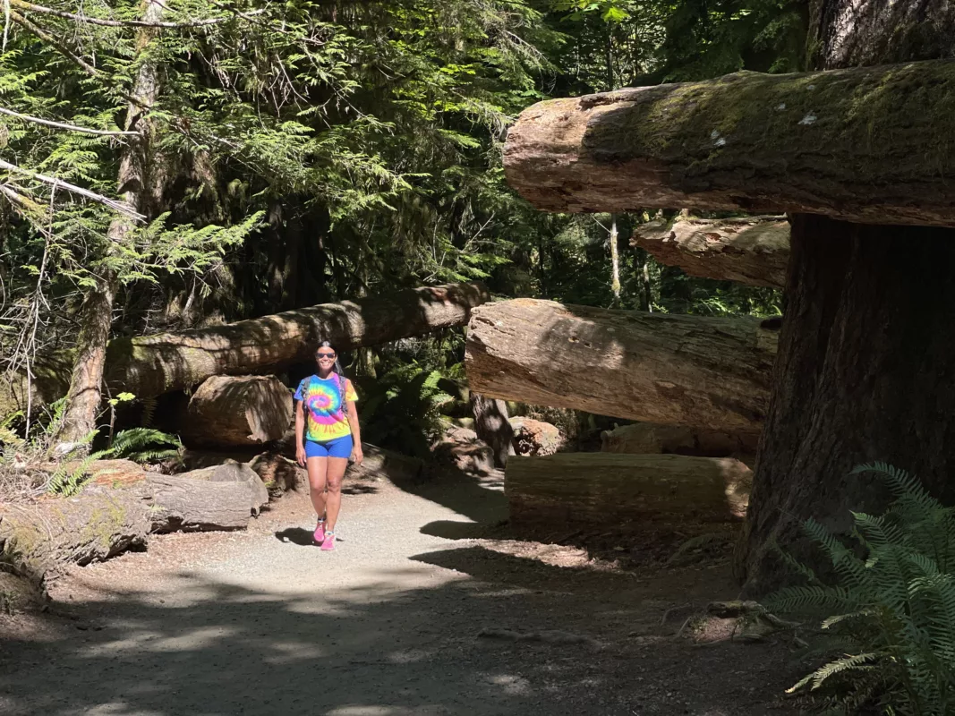 Le Monde de Chloé | | Canada | Ucluelet | Cathedral Grove | Colombie-Britannique