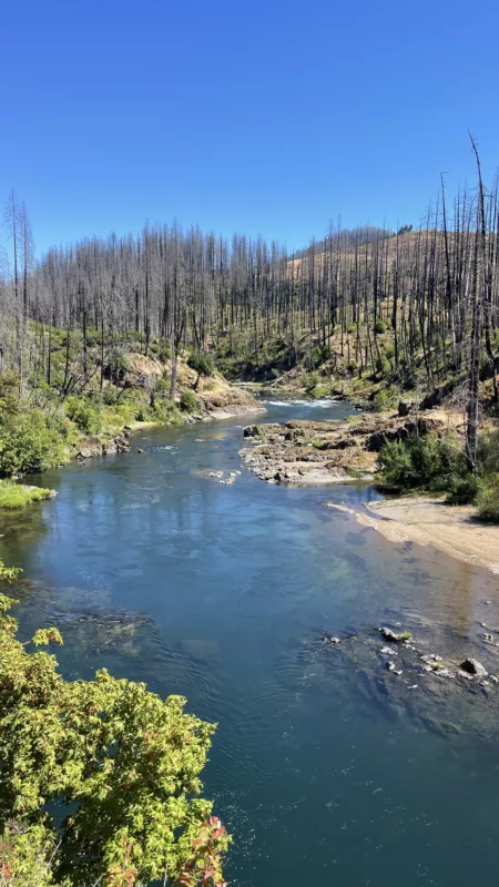 North Umpqua River | Oregon | Road Trip aux USA | Le Monde de Chloé