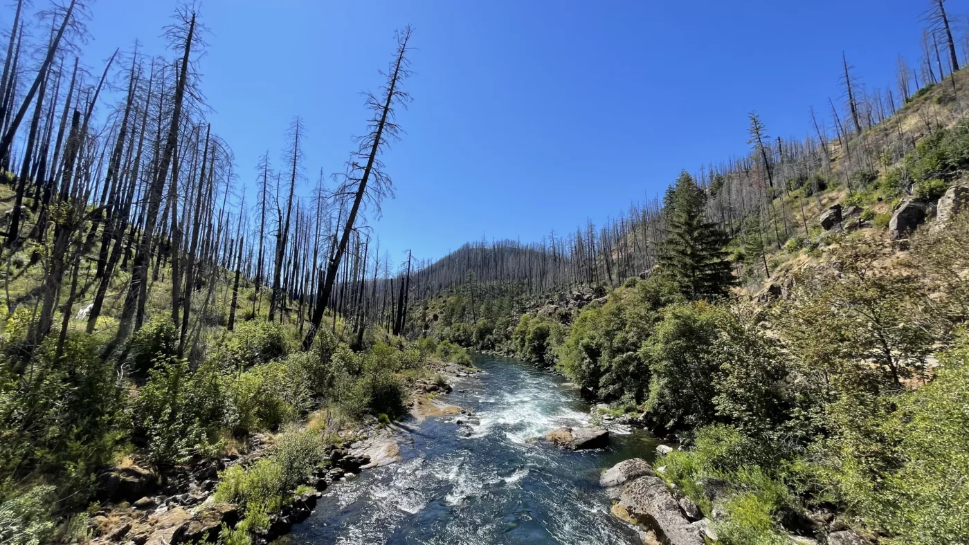 North Umpqua River | Oregon | Road Trip aux USA | Le Monde de Chloé