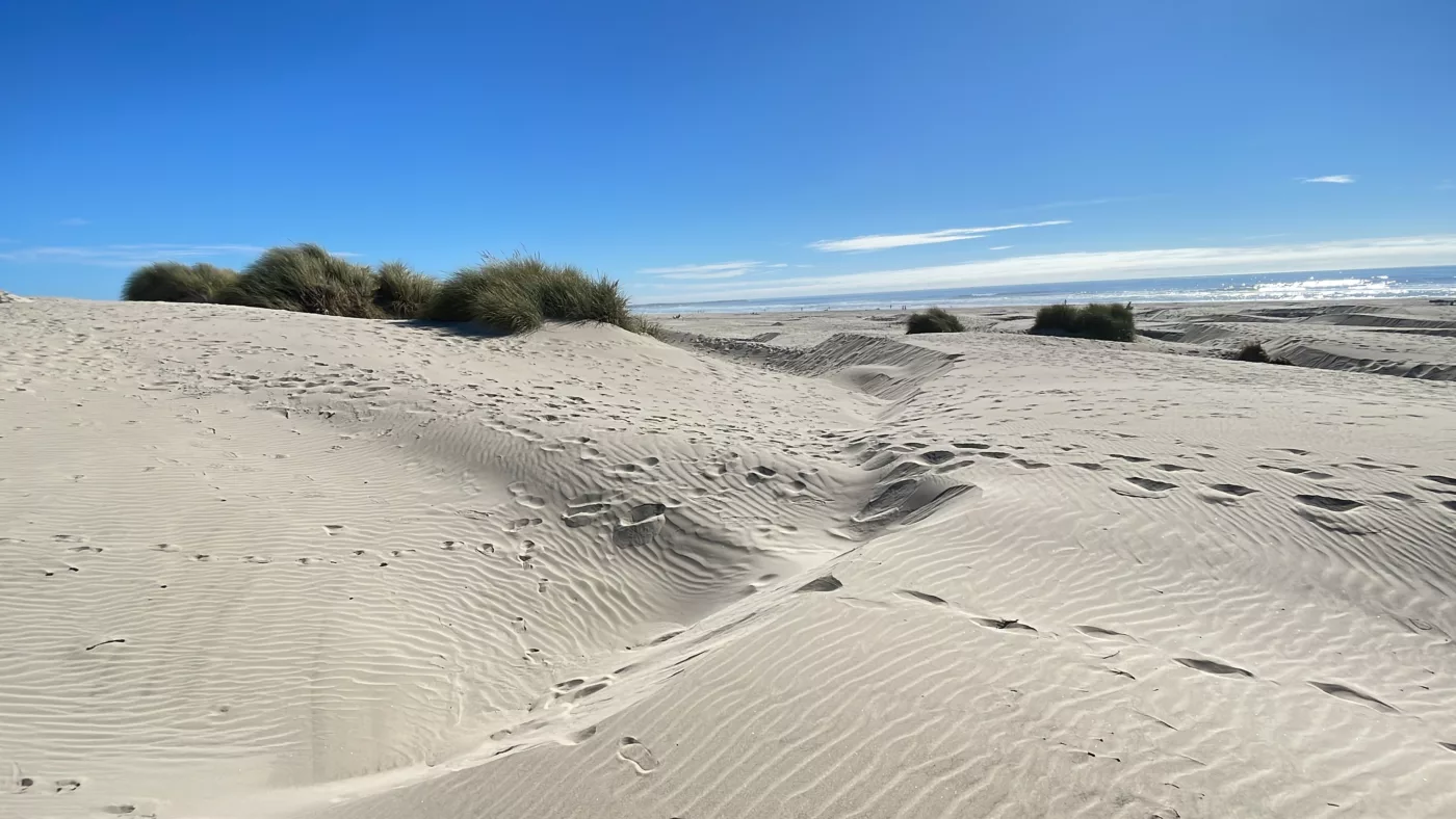 Dunes de Yaquina Beach | Oregon | Road Trip aux USA | Le Monde de Chloé