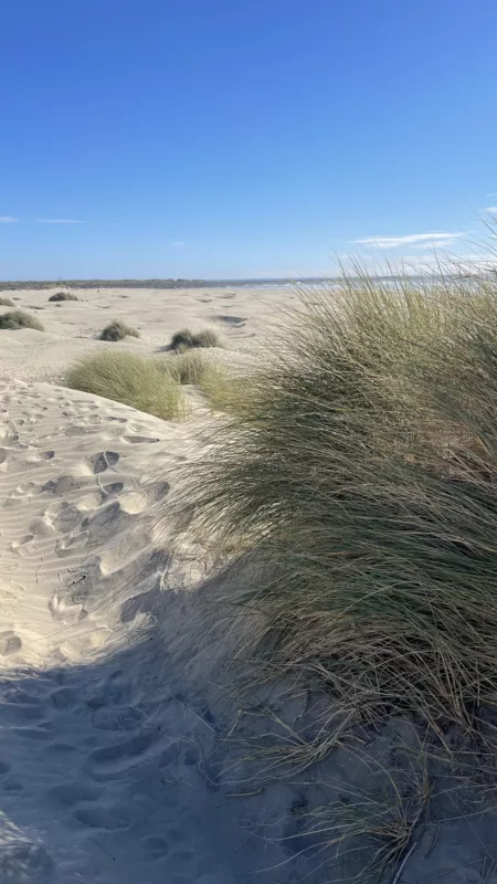 Dunes de Yaquina Beach | Oregon | Road Trip aux USA | Le Monde de Chloé