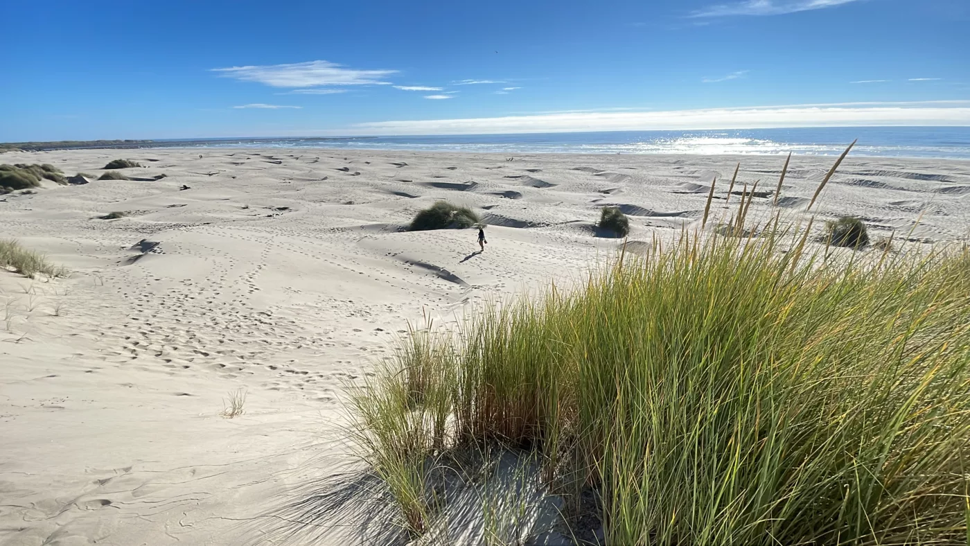 Dunes de Yaquina Beach | Oregon | Road Trip aux USA | Le Monde de Chloé