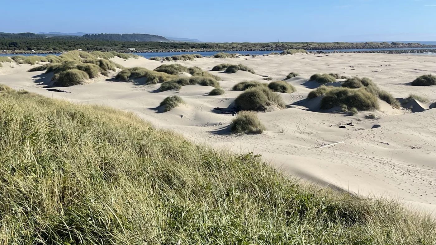 Dunes de Yaquina Beach | Oregon | Road Trip aux USA | Le Monde de Chloé