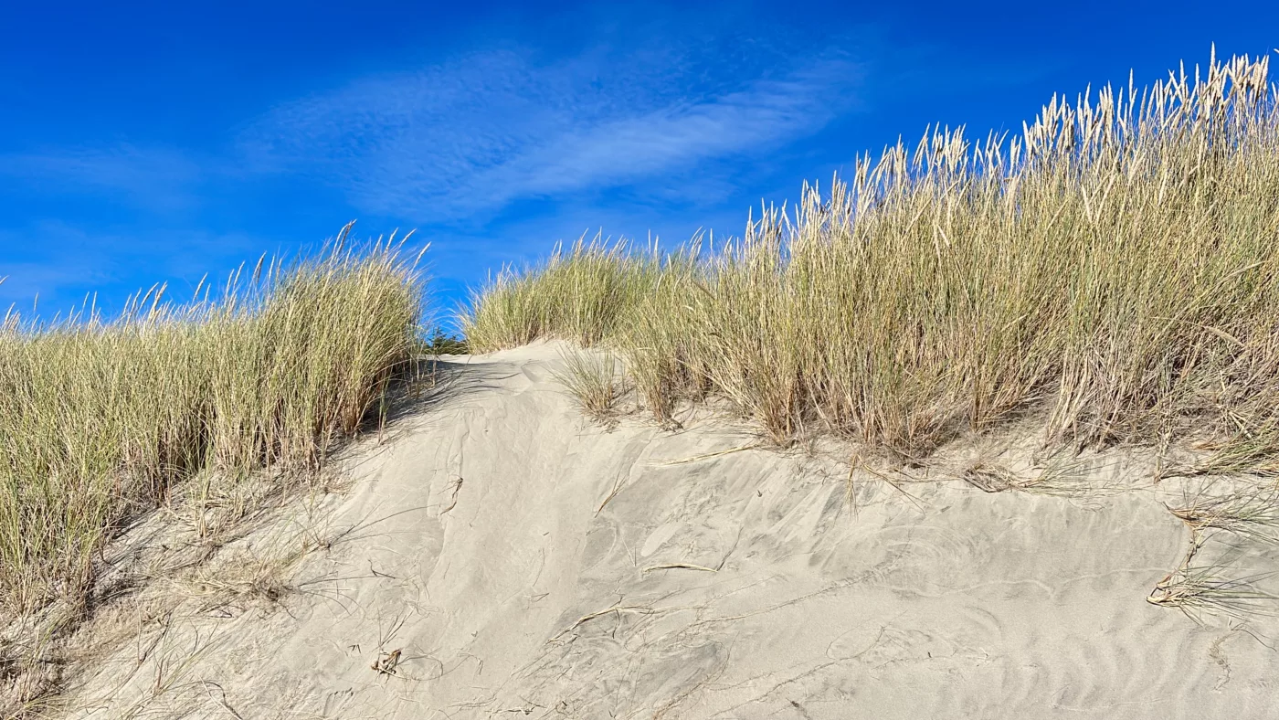 Dunes de Yaquina Beach | Oregon | Road Trip aux USA | Le Monde de Chloé