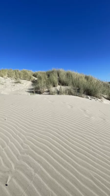 Dunes de Yaquina Beach | Oregon | Road Trip aux USA | Le Monde de Chloé