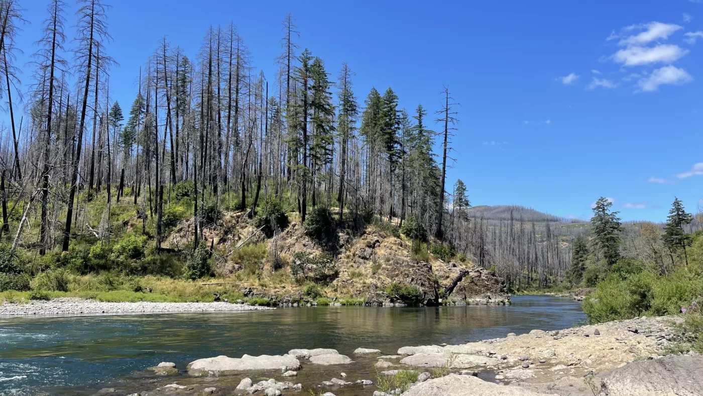 North Umpqua River | Oregon | Road Trip aux USA | Le Monde de Chloé