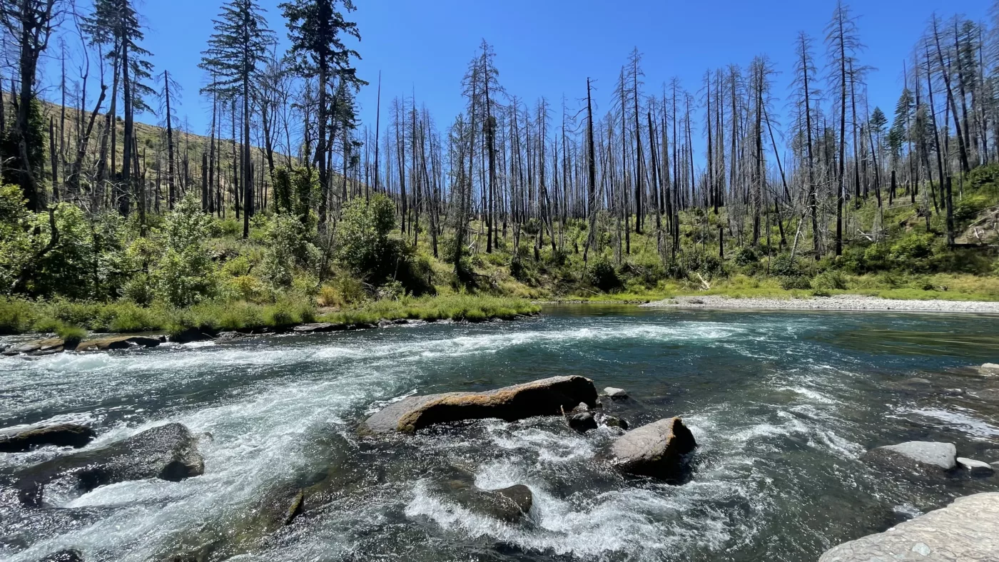 North Umpqua River | Oregon | Road Trip aux USA | Le Monde de Chloé