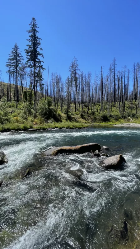 North Umpqua River | Oregon | Road Trip aux USA | Le Monde de Chloé