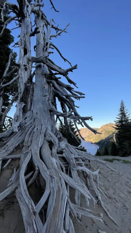 Crater Lake | Road Trip dans l'Ouest des USA | Le monde de Chloé