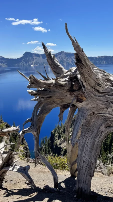 Crater Lake | Road Trip dans l'Ouest des USA | Le monde de Chloé