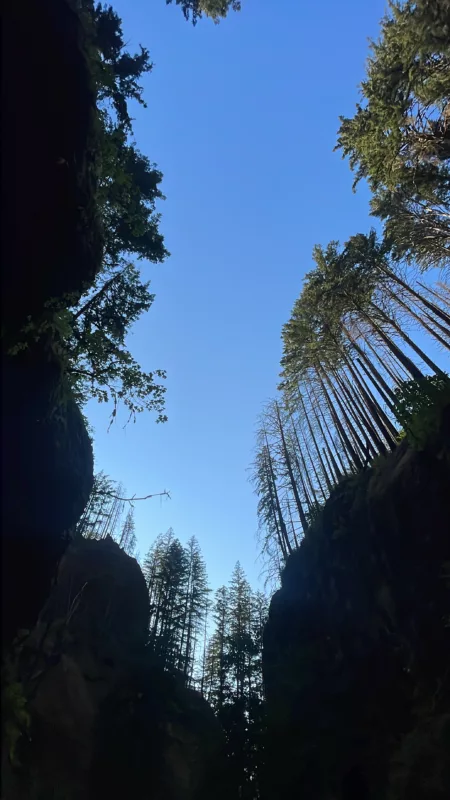 Le Monde de Chloé | | USA | Oregon | Silver Falls