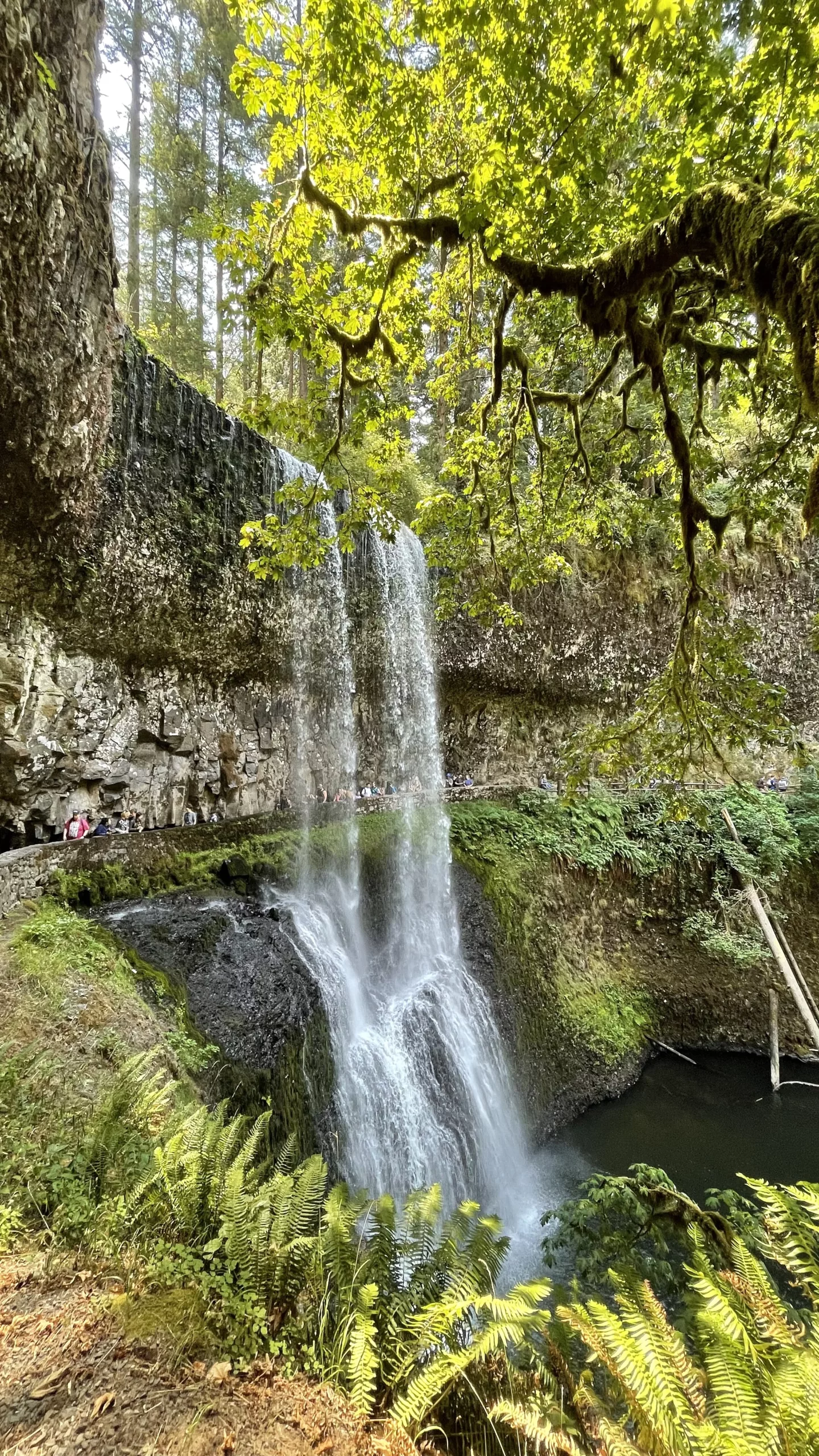 Le Monde de Chloé | | USA | Oregon | Silver Falls