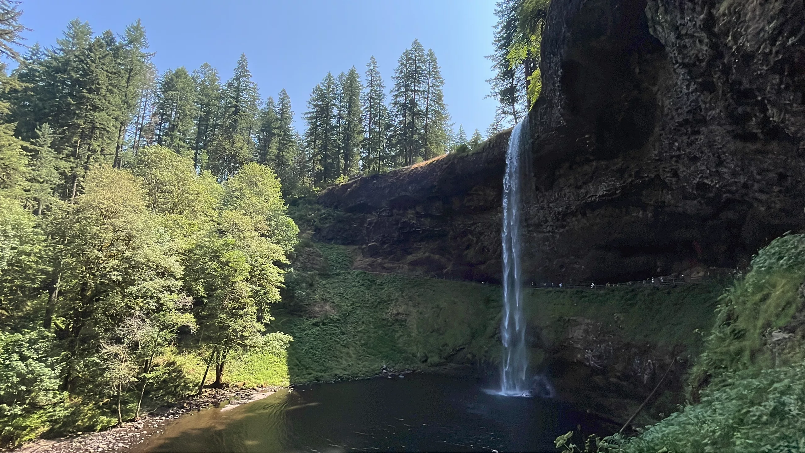 Le Monde de Chloé | | USA | Oregon | Silver Falls Regional Park