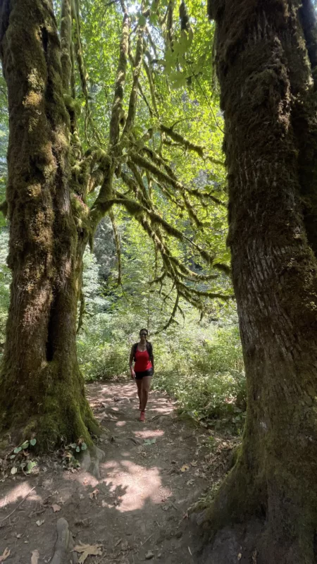 Le Monde de Chloé | | USA | Oregon | Silver Falls