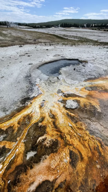 Yellostone National Park | Wyoming | Road Trip aux USA | Le Monde de Chloé