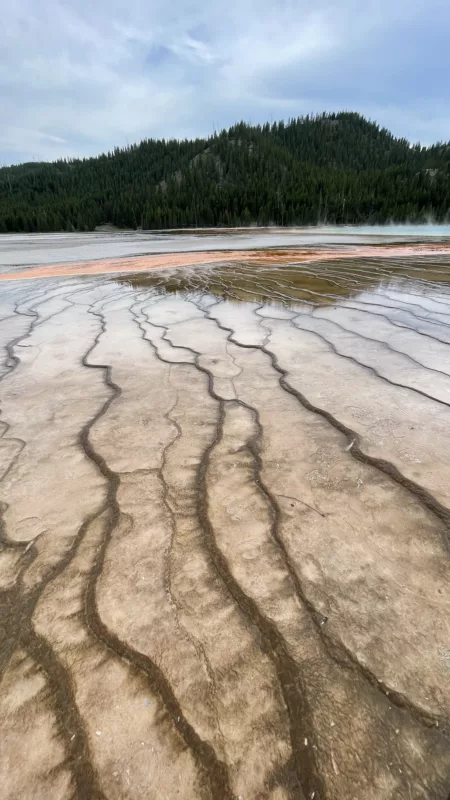 Yellostone National Park | Wyoming | Road Trip aux USA | Le Monde de Chloé