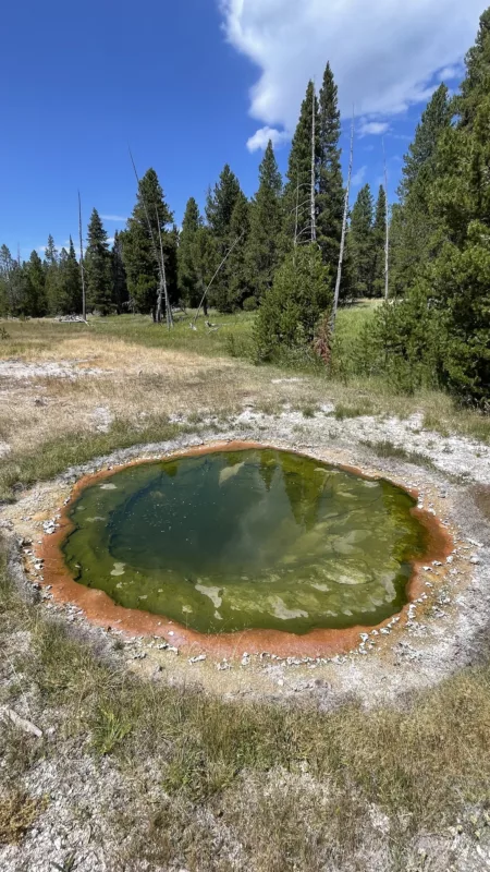 Yellostone National Park | Wyoming | Road Trip aux USA | Le Monde de Chloé