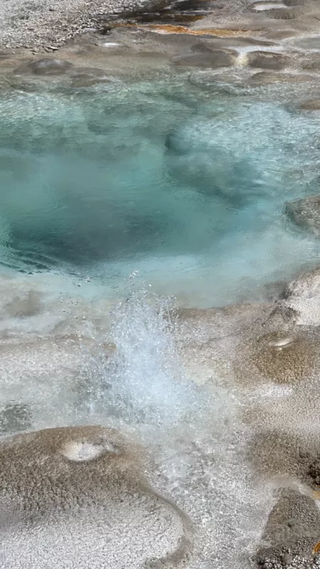 Yellostone National Park | Wyoming | Road Trip aux USA | Le Monde de Chloé