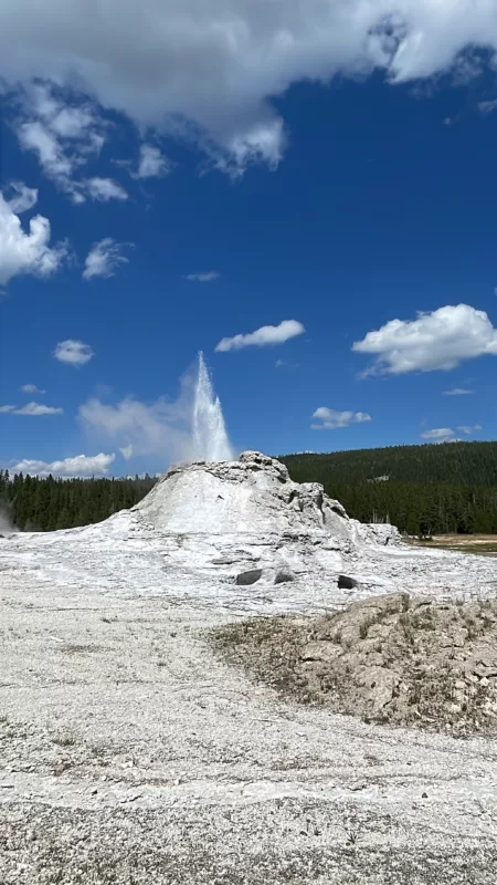 Yellostone National Park | Wyoming | Road Trip aux USA | Le Monde de Chloé