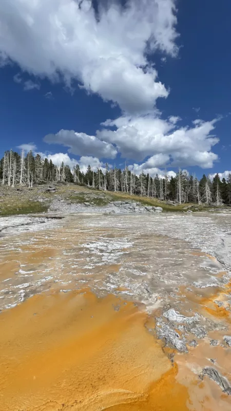 Yellostone National Park | Wyoming | Road Trip aux USA | Le Monde de Chloé