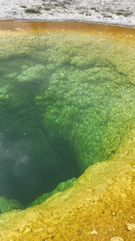 Yellostone National Park | Wyoming | Road Trip aux USA | Le Monde de Chloé