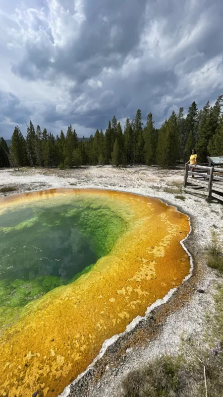 Yellostone National Park | Wyoming | Road Trip aux USA | Le Monde de Chloé