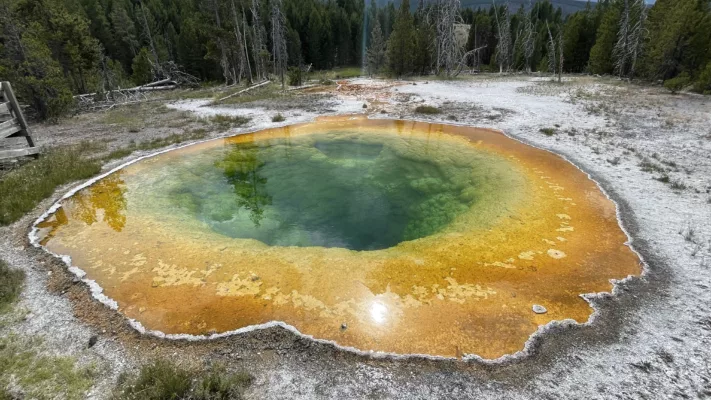 Yellostone National Park | Wyoming | Road Trip aux USA | Le Monde de Chloé