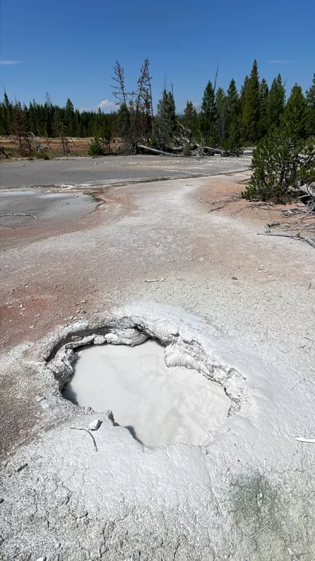 Yellostone National Park | Wyoming | Road Trip aux USA | Le Monde de Chloé