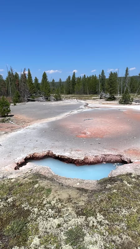 Yellostone National Park | Wyoming | Road Trip aux USA | Le Monde de Chloé