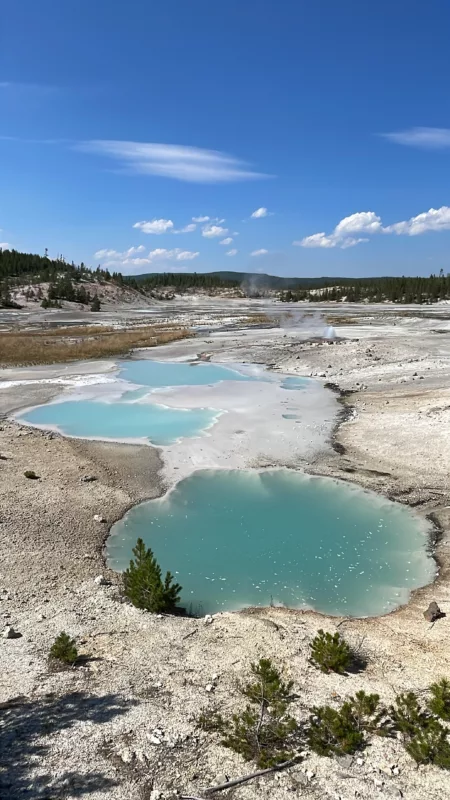 Yellostone National Park | Wyoming | Road Trip aux USA | Le Monde de Chloé