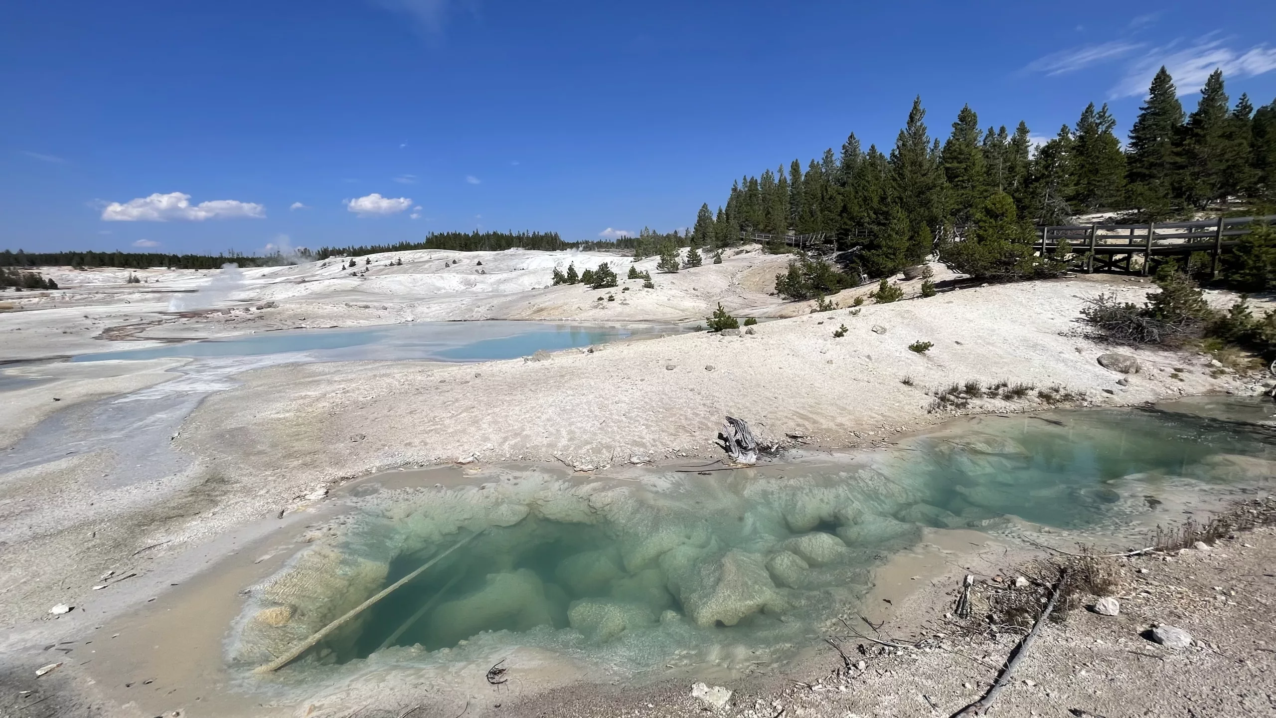 Yellostone National Park | Wyoming | Road Trip aux USA | Le Monde de Chloé