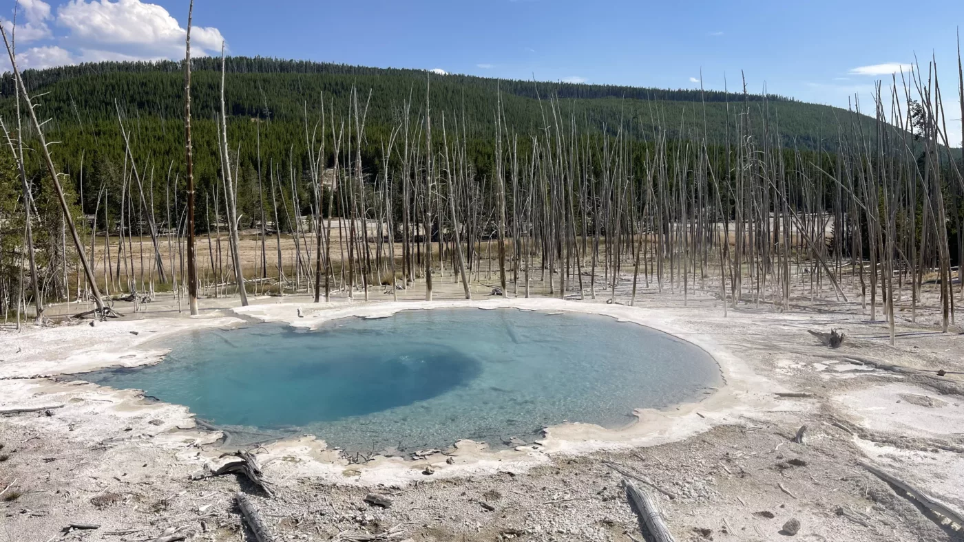 Yellostone National Park | Wyoming | Road Trip aux USA | Le Monde de Chloé