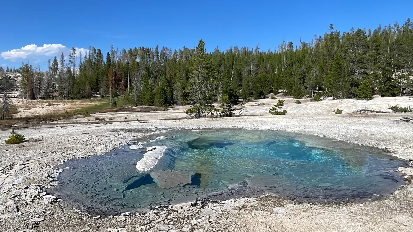 Yellostone National Park | Wyoming | Road Trip aux USA | Le Monde de Chloé