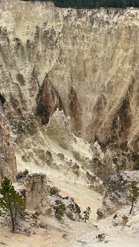 Yellostone National Park | Wyoming | Road Trip aux USA | Le Monde de Chloé