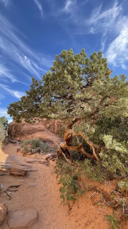 Le Monde de Chloé | Arches National Park | Parc National des Arches | Utah | Road Trip aux USA | Road Trip dans l'ouest américain | Désert de l'Utah