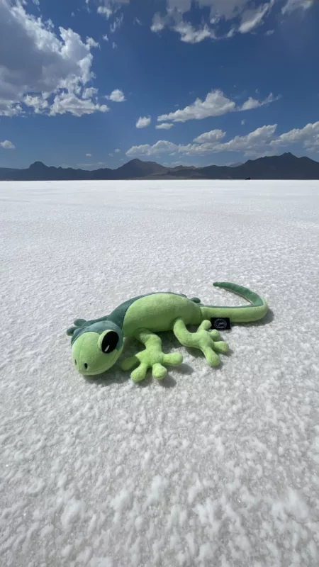 Le Monde de Chloé | Bonneville Salt Flats | Utah | Road Trip aux USA | Désert de Sel | Margou L'Effet Péi