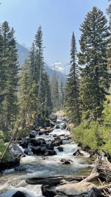 Le Monde de Chloé | Parc National de Grand Teton | Wyoming | Road Trip aux USA | Randonnée