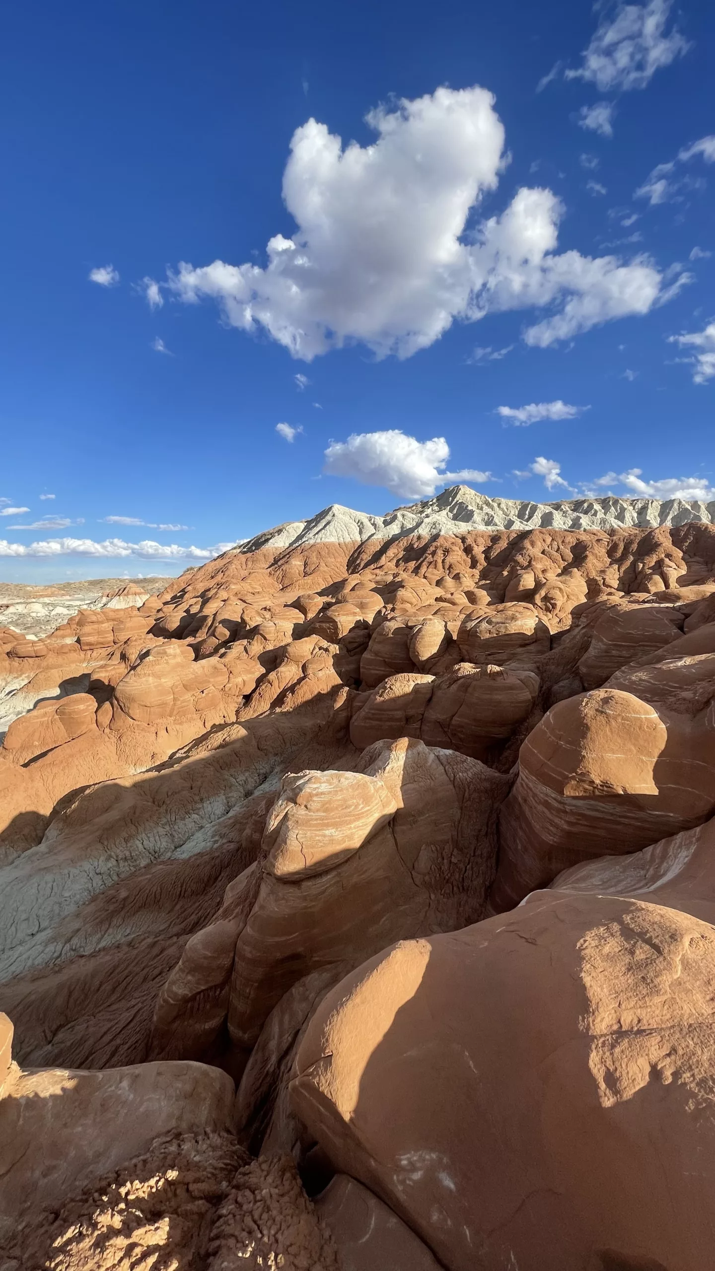 Le Monde de Chloé | Toadstool Hoodoos | Utah | Road Trip aux USA | Road Trip dans l'ouest américain | Désert de l'Utah