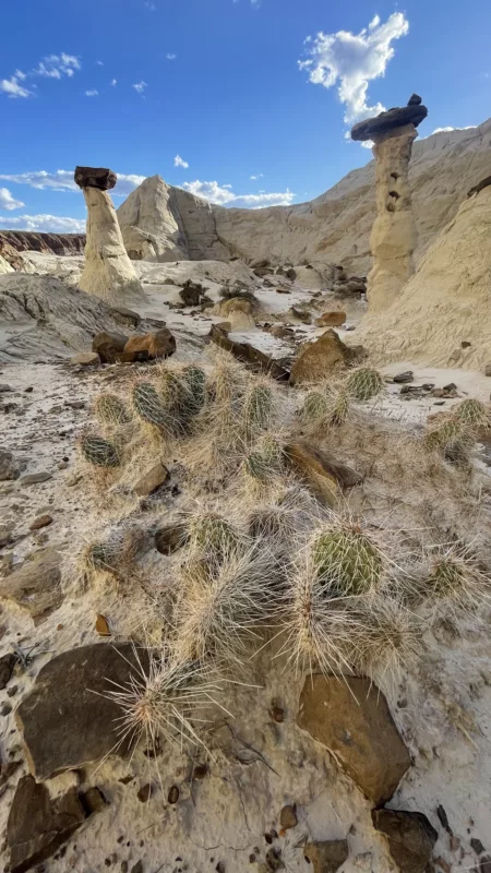 Le Monde de Chloé | Toadstool Hoodoos | Utah | Road Trip aux USA | Road Trip dans l'ouest américain | Désert de l'Utah